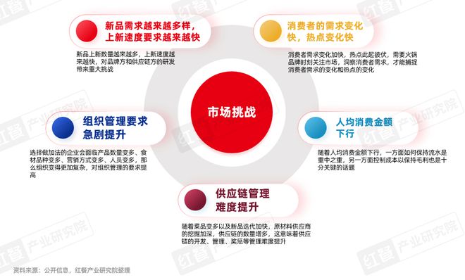 报告2025》发布四大趋势推动火锅赛道发展PG麻将胡了免费试玩模拟器《火锅产业发展(图13)